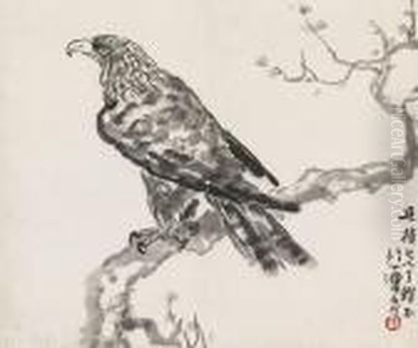 Hawk - view 1