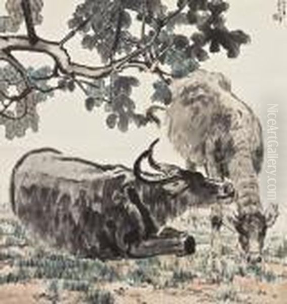 Buffaloes - view 1