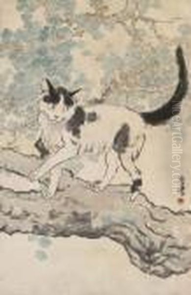 Cat - view 1