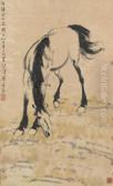 Horse - view 1