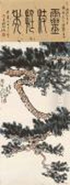 Pine - view 1