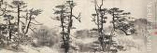 Himalayan Forest - view 1