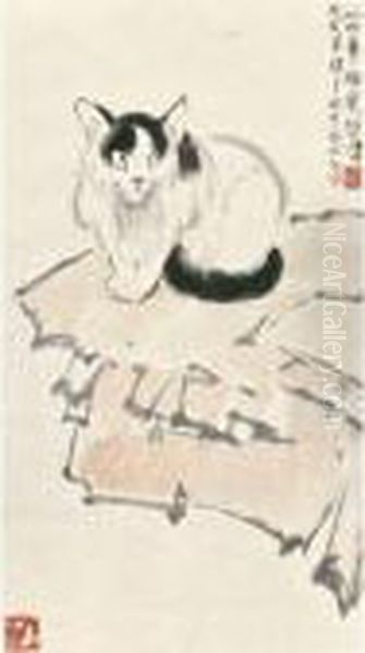Cat - view 1