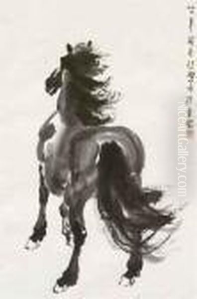 Stallion - view 1