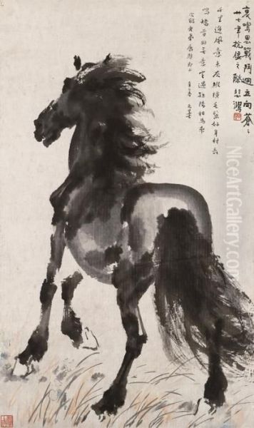 A Stallion - view 1