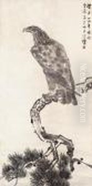 Eagle - view 1
