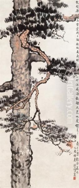 Pine Trees - view 1