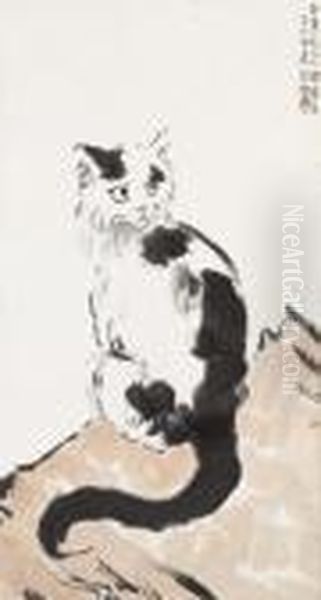 Cat - view 1