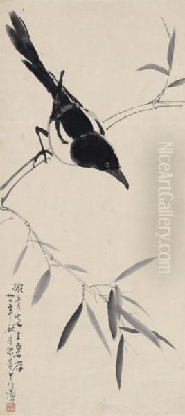 Magpie - view 1