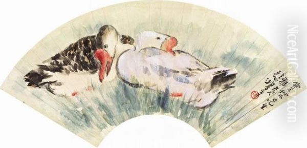 Gooses - view 1