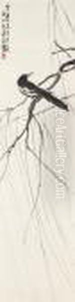 Magpie - view 1
