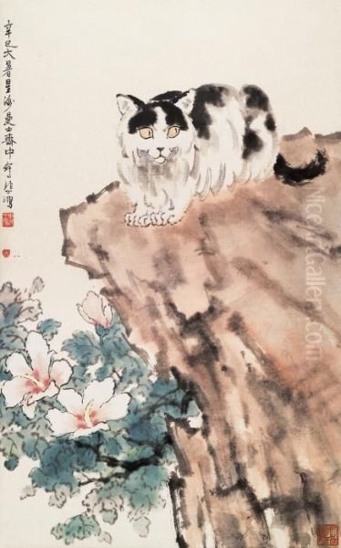 Cat - view 1