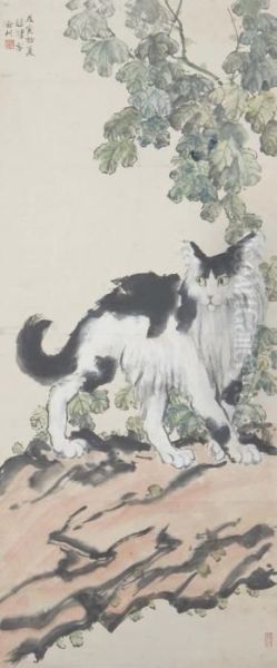 Cat - view 1
