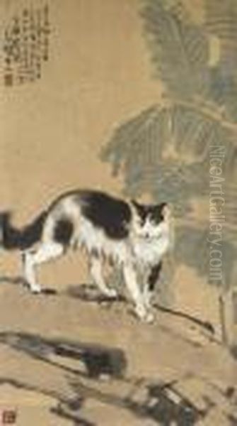 Cat - view 1