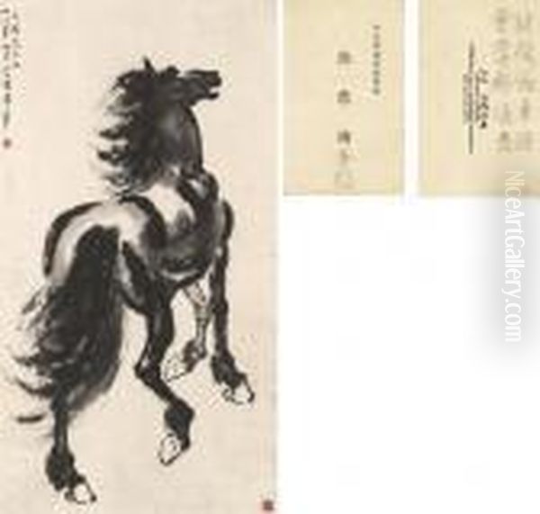 Stallion - view 1