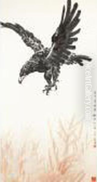 Eagle - view 1