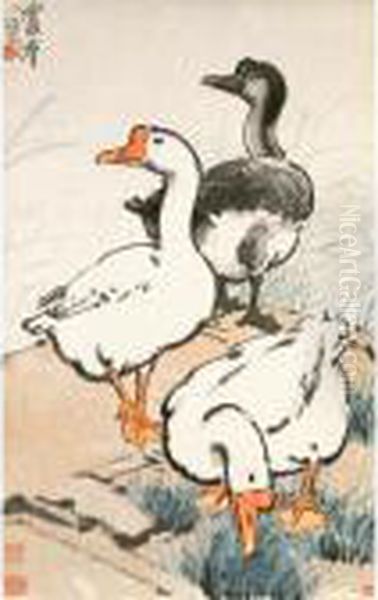 Geese - view 1