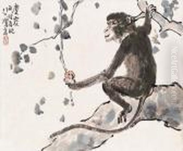 Monkey - view 1