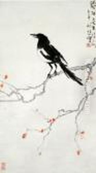 Magpie - view 1