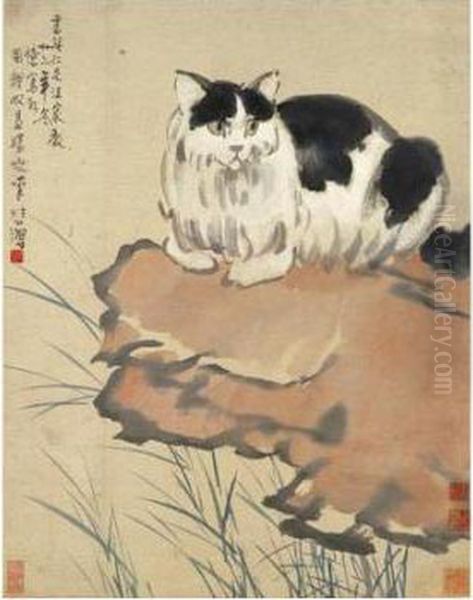 Cat - view 1