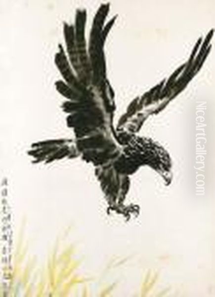 Eagle - view 1