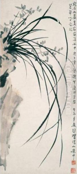 Orchids - view 1