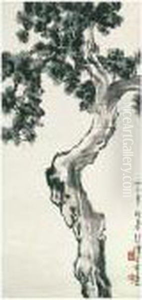 Cypress - view 1