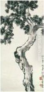 Cypress Cypress