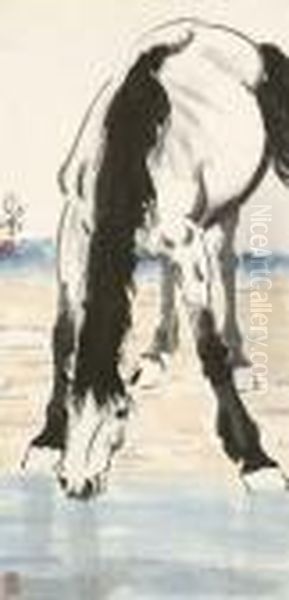 Horse Drinking Water - view 1