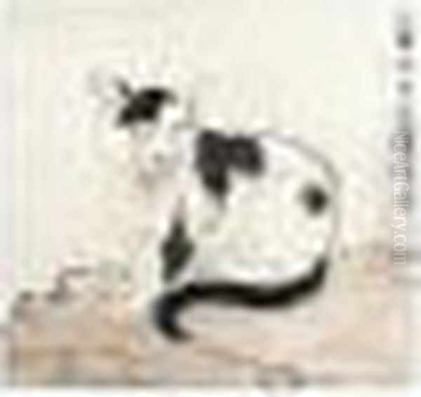 Cat - view 1