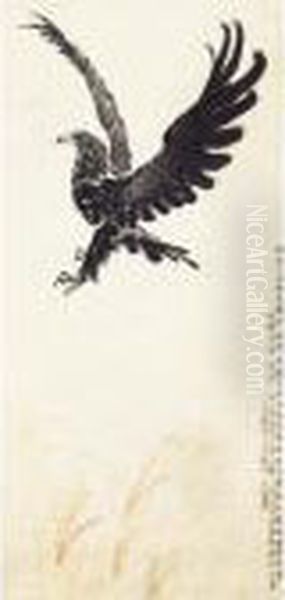 Flying Eagle - view 1