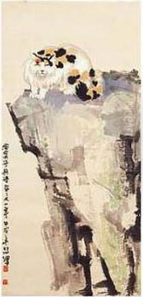 Sleeping Cat - view 1