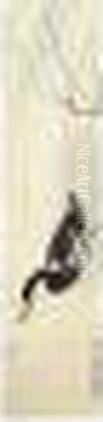 Duck - view 1