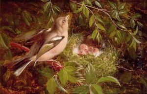 A Chaffinch at its Nest by William Hughes