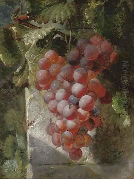 Grapes on the vine - view 1