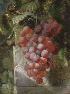 Grapes on the vine by William Hughes
