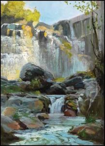 Waterfall In Shade