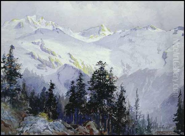 The Asulkan Glacier - view 1