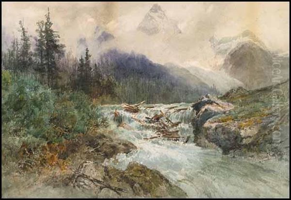 Rushing River - view 1