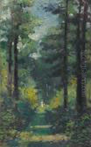 A Woody Path At Vancouver Island - view 1