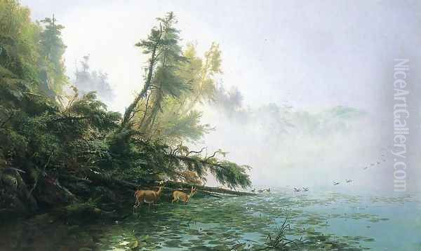 Misty Morning on Racket Lake - view 1