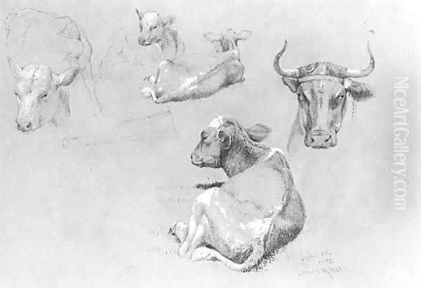 Studies of Cows and Calves - view 1