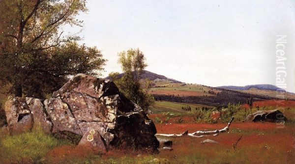 Summer in the Catskills - view 1