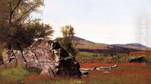 Summer in the Catskills by James McDougal Hart