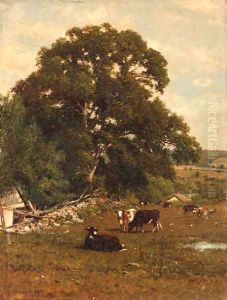 Cows in a Pasture