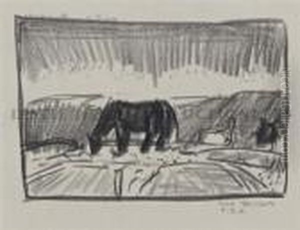 Afterglow, Young Horse Grazing - view 1