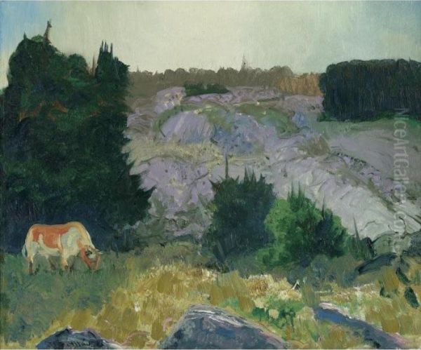 Edge Of The Pasture - Glow Of The Sun - view 1