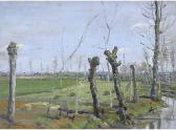 Paesaggio - view 1