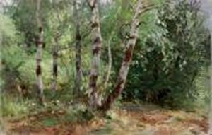 Bosco Di Betulle by Achille Beltrame