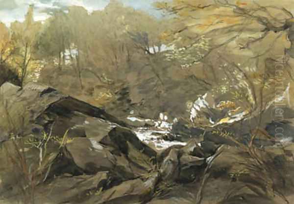 A wooded Valley, North Wales - view 1